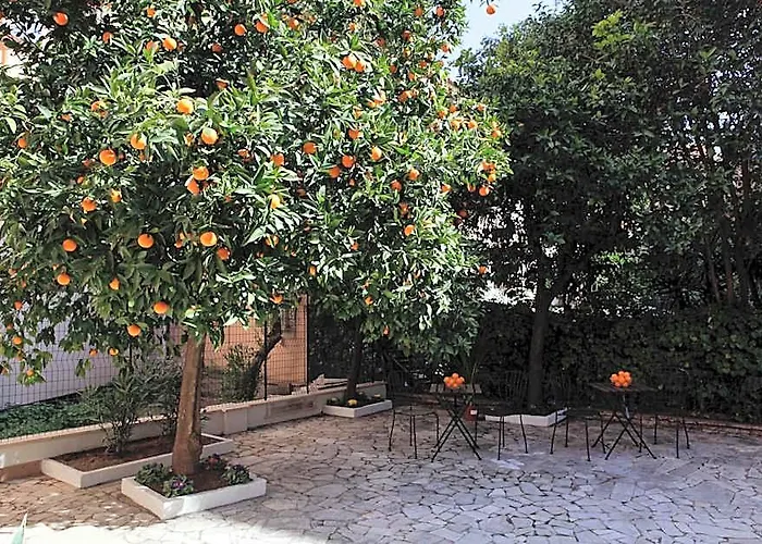 Hotel Pisa Roma